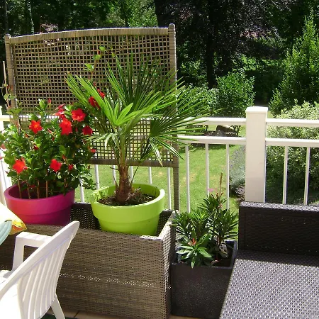 Les Volets Bleus Alsace Vosges Nocleg ze śniadaniem Urbès