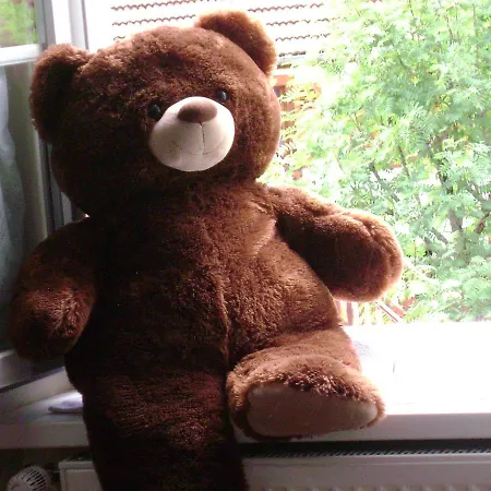 Les Volets Bleus Alsace Vosges