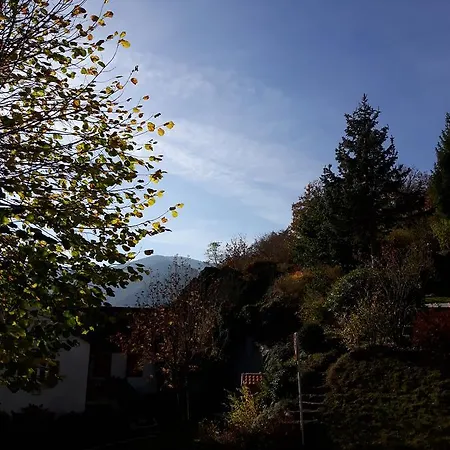 Nocleg ze śniadaniem Les Volets Bleus Alsace Vosges