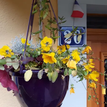 Les Volets Bleus Alsace Vosges Nocleg ze śniadaniem 3*