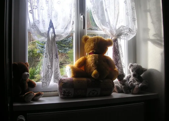 Les Volets Bleus Alsace Vosges