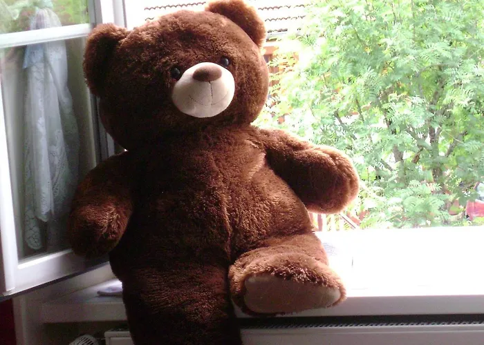 Les Volets Bleus Alsace Vosges