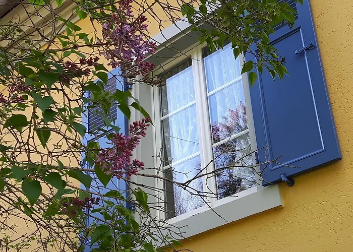 Les Volets Bleus Alsace Vosges Nocleg ze śniadaniem Urbès